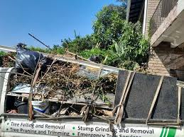 Best Same-Day Junk Removal Services  in Colonial Heights, TN